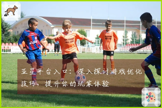 亚星平台入口：深入探讨游戏优化技巧，提升你的玩家体验