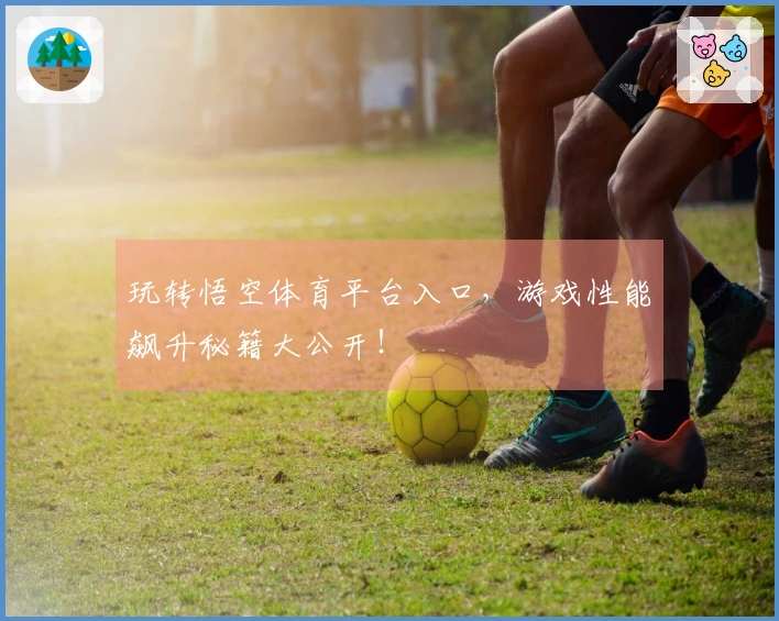 玩转悟空体育平台入口，游戏性能飙升秘籍大公开！