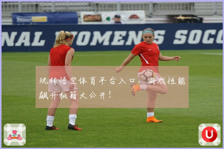 玩转悟空体育平台入口，游戏性能飙升秘籍大公开！